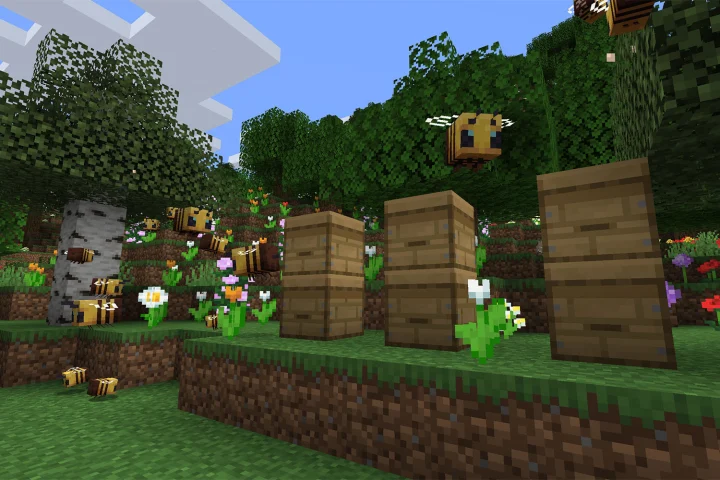 Collect Honey in Minecraft