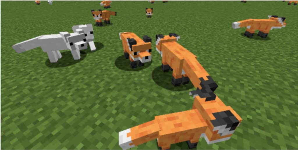 Can I Heal Foxes In Minecraft By Feeding Them?