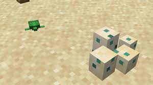 Everything to know about turtle eggs in Minecraft