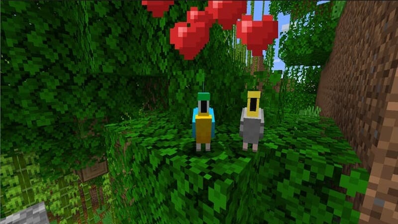 What Do You Use To Breed Parrots In Minecraft?