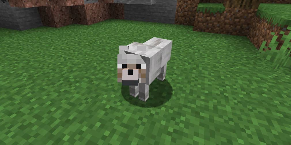 What are the Wolf in Minecraft?
