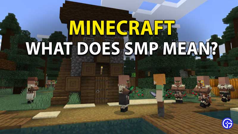 What does SMP Mean in Minecraft?