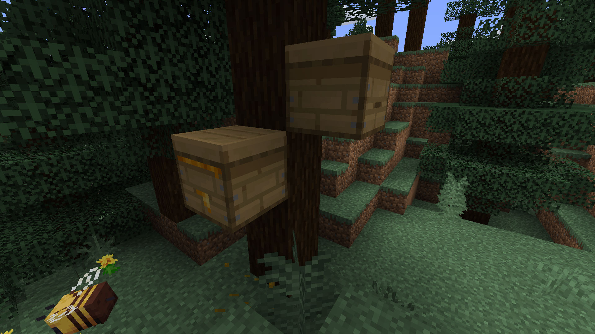 Where to find a Beehive in Minecraft
