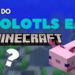 Axolotls Eat in Minecraft