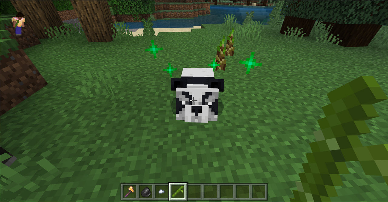 1. Tame Baby Panda’s