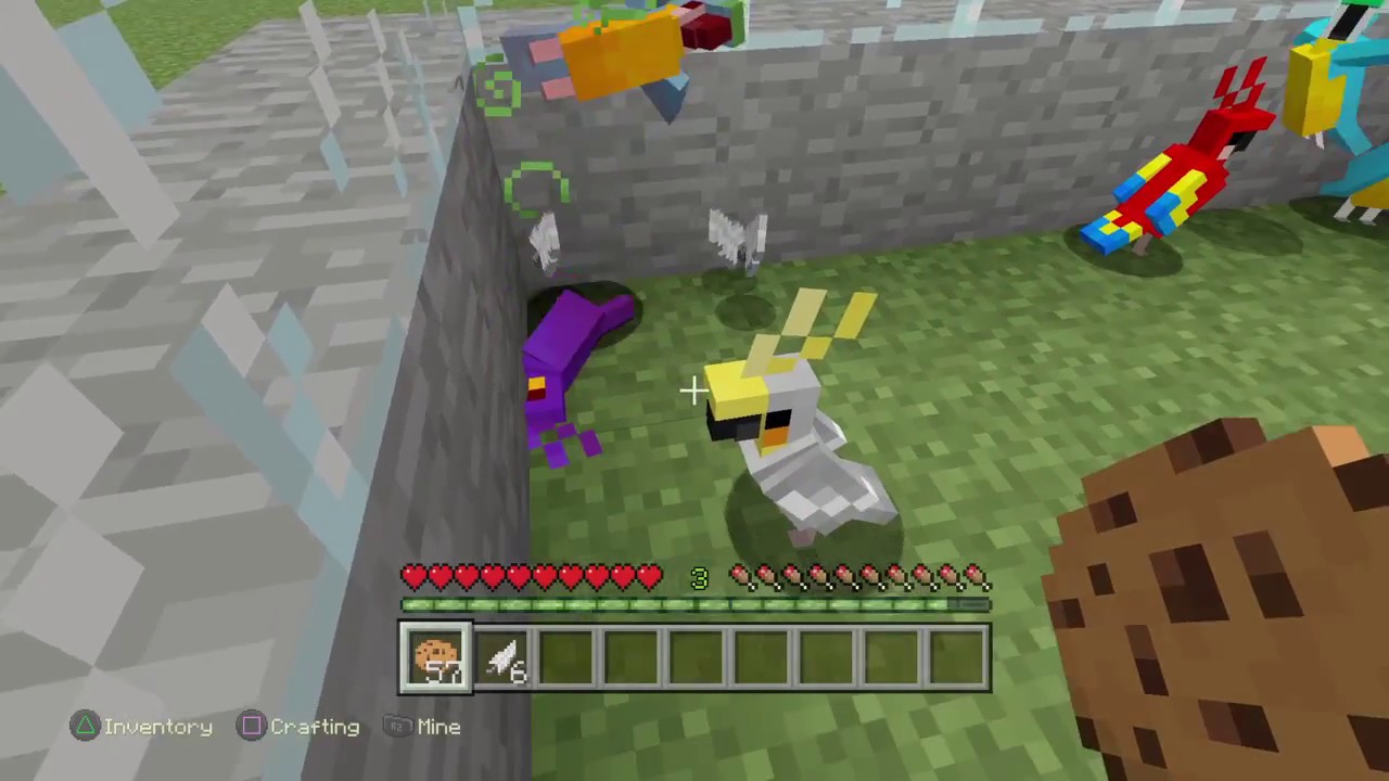 All the items that parrots can eat in Minecraft
