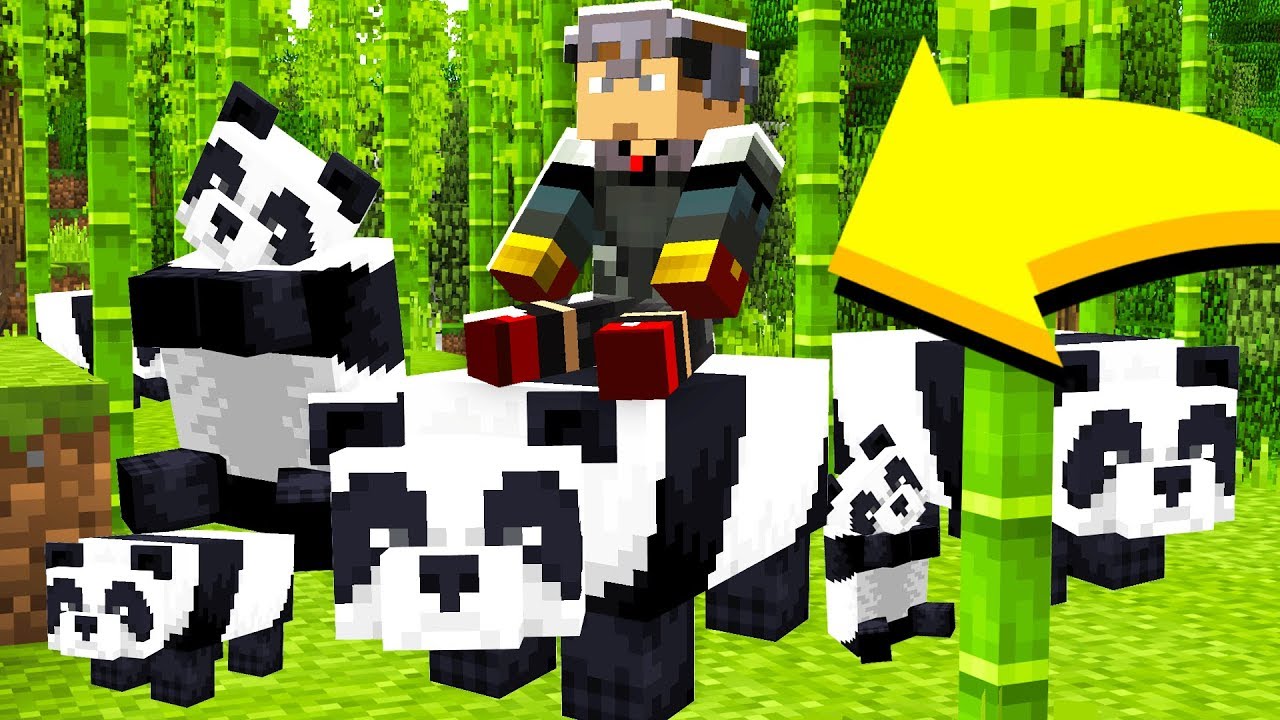 How to get a Panda to follow you in Minecraft