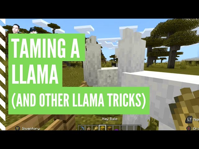 Taming Llamas