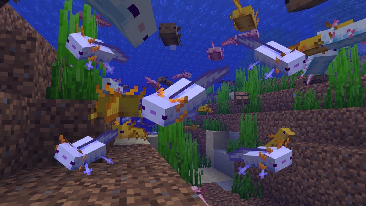 Ways to summon a blue Axolotl in Minecraft