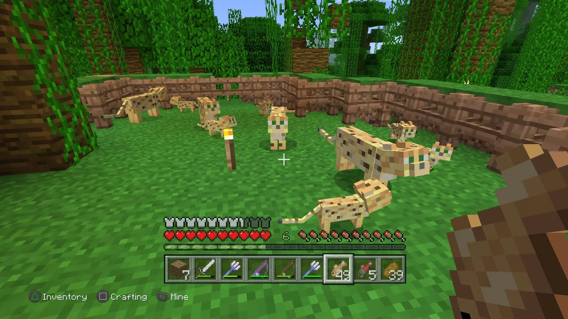 What You Need to Tame Ocelots?