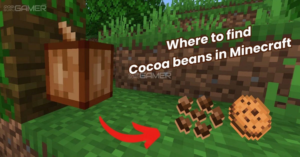 Where to Find Cocoa Beans In Minecraft?