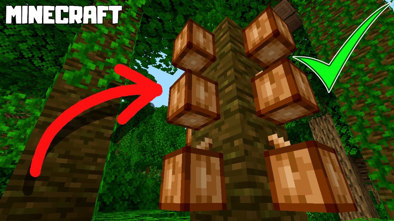 What is Cocoa Beans In Minecraft?