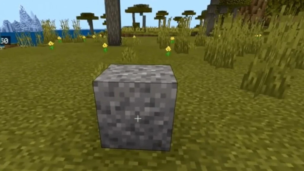 What is the Flint in Minecraft?