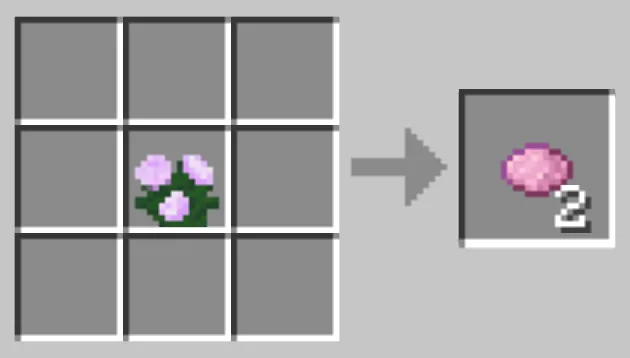 Craft Pink Dye With Flowers in Minecraft