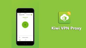 Features of Kiwi VPN APK