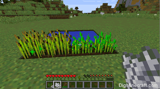 How Can Grow a Wheat Farm in Minecraft