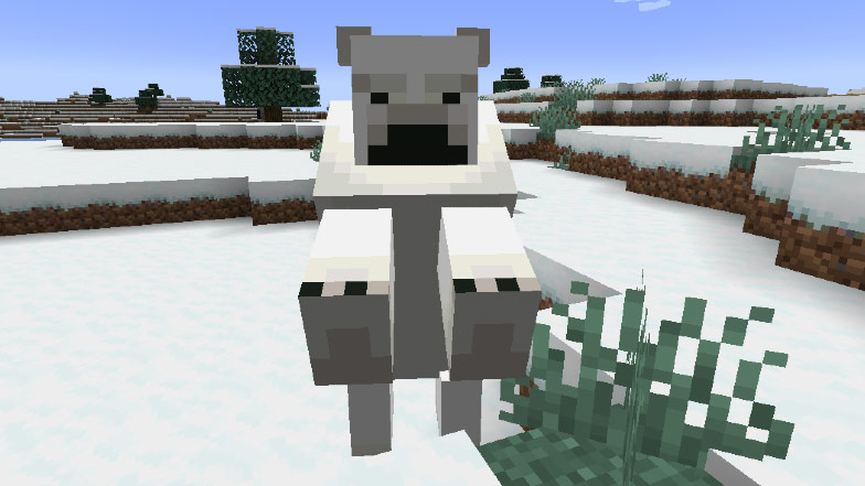 How Polar Bears Behave in Minecraft