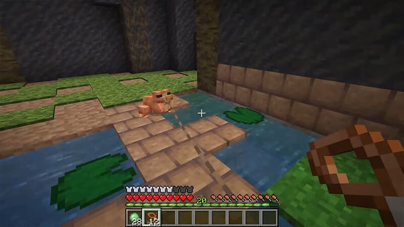 How high can Frogs leap in Minecraft