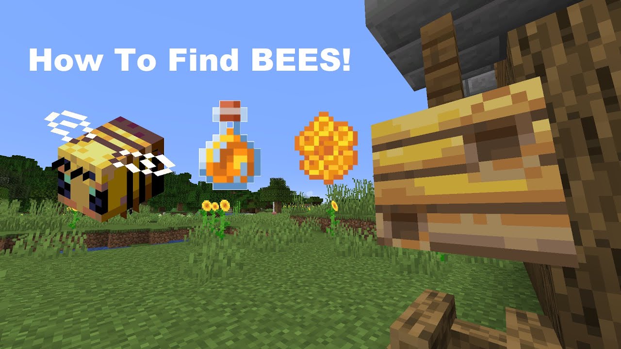 How to Find Bees in Minecraft