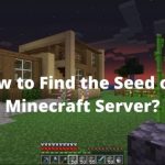 How to Find the Seed of a Minecraft Server
