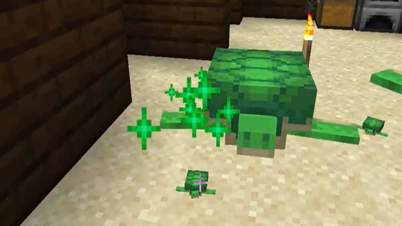 How to get Scutes in Minecraft