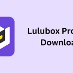 Lulubox Pro Apk