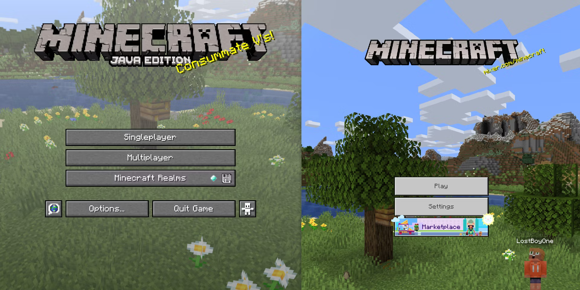 What Are The Differences Between Minecraft Java, Bedrock, and Windows Edition