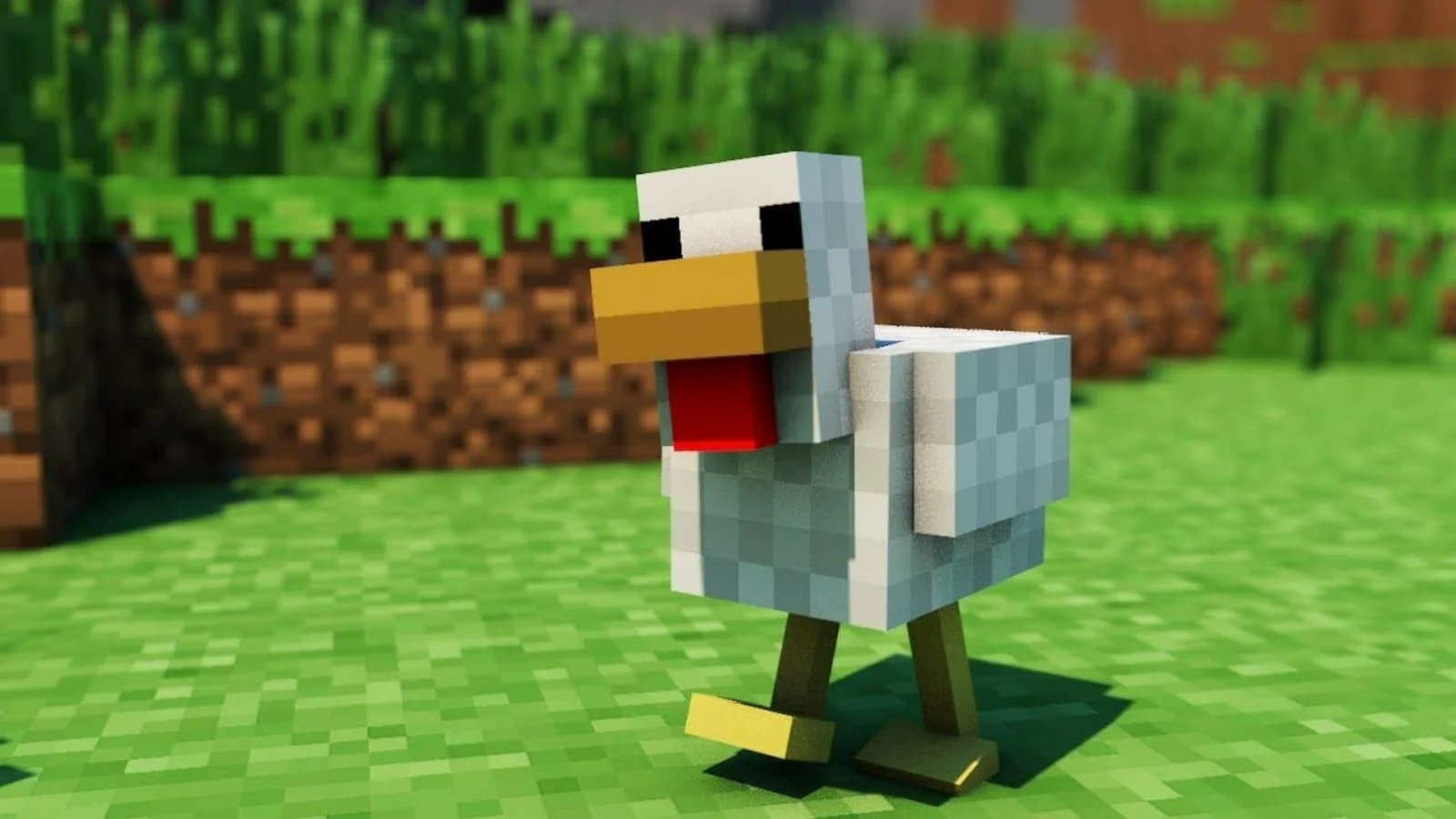 What is Chickens in Minecraft