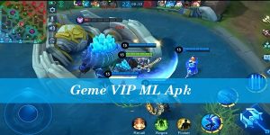 What is Game VIP ML
