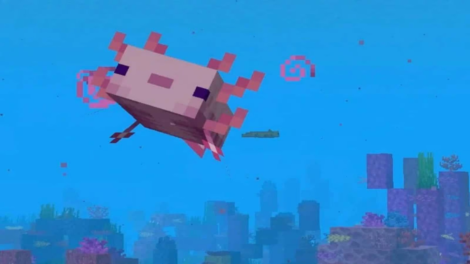 What is Minecraft’s Axolotl?