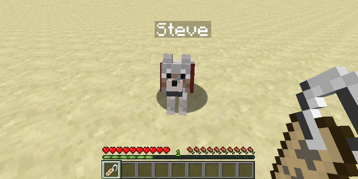 What is Name Tag in Minecraft