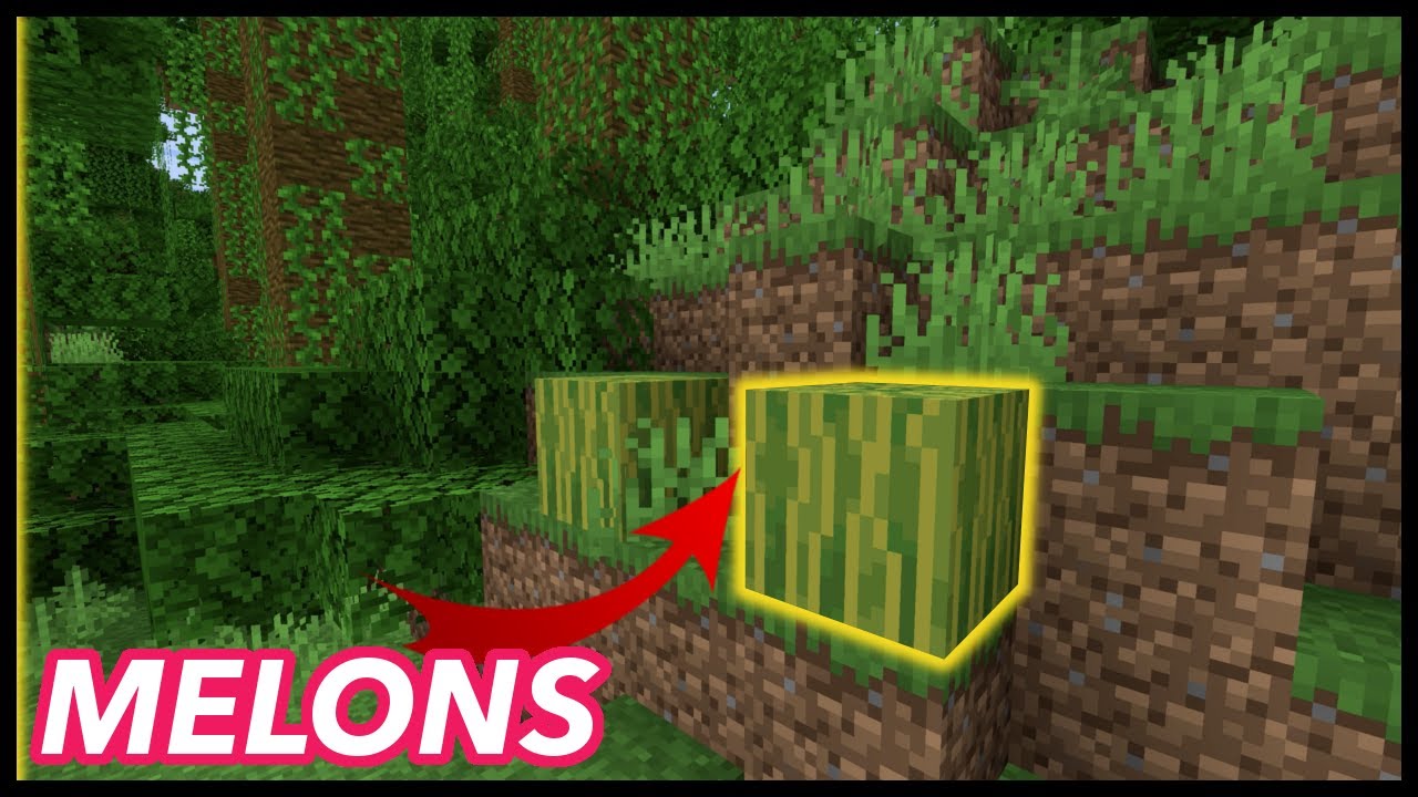 Where to Find Melons in Minecraft?