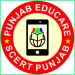 Is Punjab Educare Available in Multiple Languages